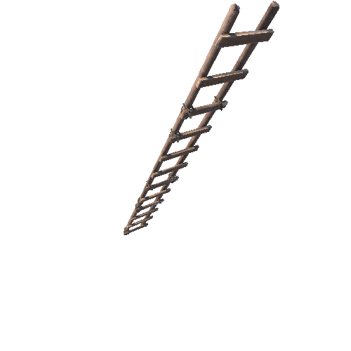 Ladder Type 5